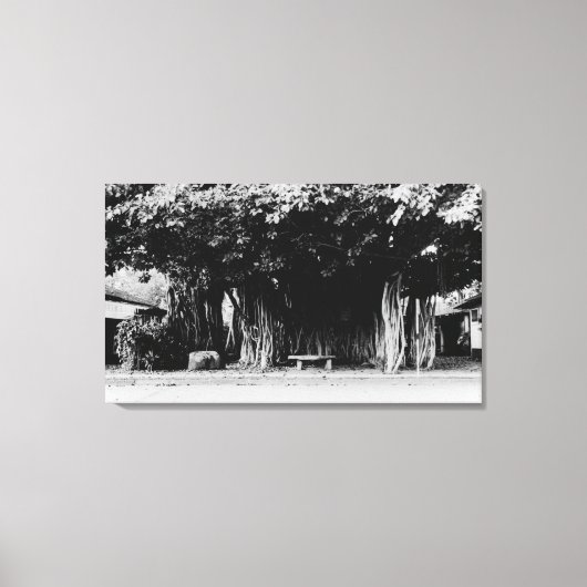 ホノルル,ハワイ – ソーセージツリー キャンバスプリント (正面)