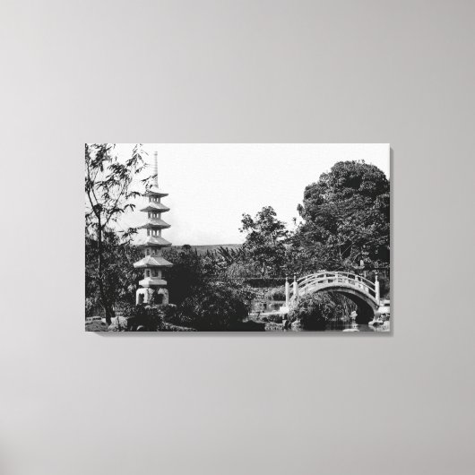 ホノルル,ハワイ – モアノルアガーデンズの景色 キャンバスプリント (正面)