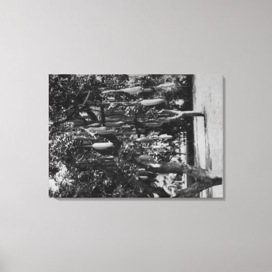 ホノルル， HI – ハワイ大学 キャンバスプリント (正面)