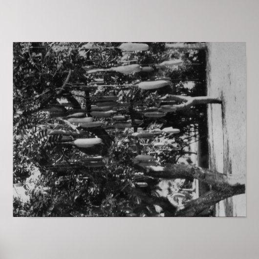 ホノルル, HI – ハワイ大学 ポスター (正面)