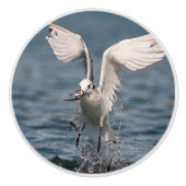 ホバリングキティワケ セラミックノブ (正面)