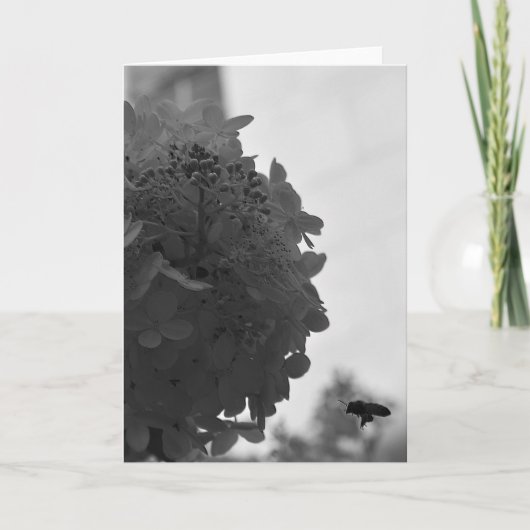 ホバリングハニービー、カード カード (正面)