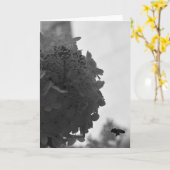 ホバリングハニービー、カード カード (黄色い花)