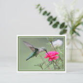 ホバリングランチ ポストカード (スタンド正面)