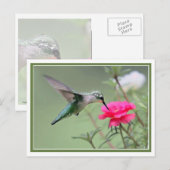 ホバリングランチ ポストカード (正面/裏面)