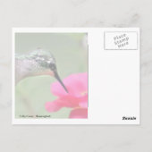 ホバリングランチ ポストカード (裏面)