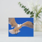 ホバリング ポストカード (スタンド正面)