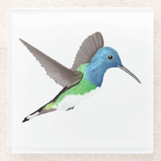 ホバリングJacobin Hummingbird – 透明。 ガラスコースター (正面)