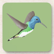 ホバリングJacobin Hummingbird – 透明。