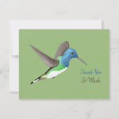 ホバリングJacobin Hummingbird – 透明。 サンキューカード (正面)