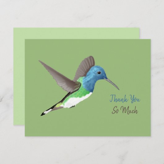ホバリングJacobin Hummingbird – 透明。 サンキューカード (正面/裏面)