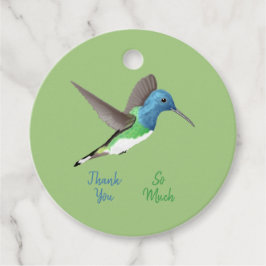 ホバリングJacobin Hummingbird – 透明。 フェイバータグ