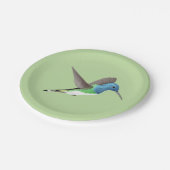 ホバリングJacobin Hummingbird – 透明。 ペーパープレート (アングル)