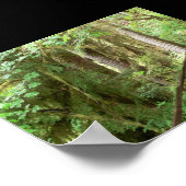 ホバレーレインフォレストトレイルポスター ポスター (角)