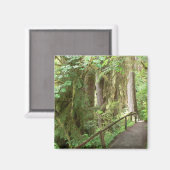 ホバレーレインフォレスト マグネット (正面/裏面)