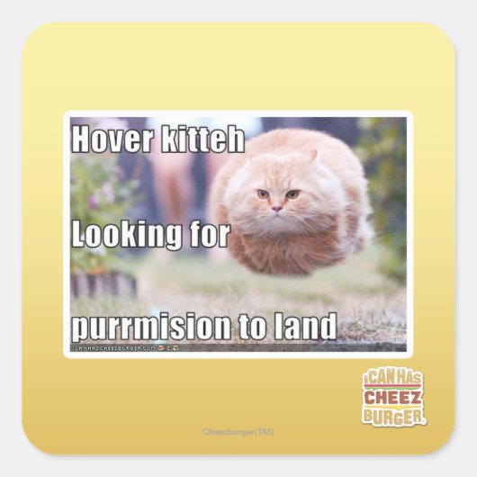 ホバーキティ スクエアシール (正面)