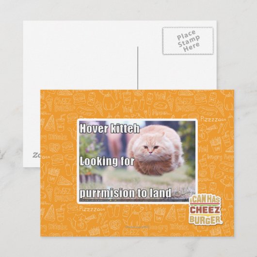 ホバーキティ ポストカード (正面/裏面)