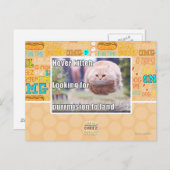 ホバーキティ ポストカード (正面/裏面)