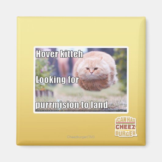 ホバーキティ マグネット (正面)