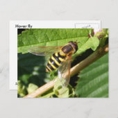 ホバーフライで~はがきを出す ポストカード (正面/裏面)