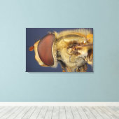 ホバーフライの頭と複眼 キャンバスプリント (インサイチュ (ウッドフロア))
