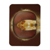 ホバーフライの頭と複眼 マグネット (縦)