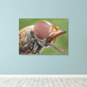 ホバーフライの頭部と複眼2 キャンバスプリント (インサイチュ (ウッドフロア))