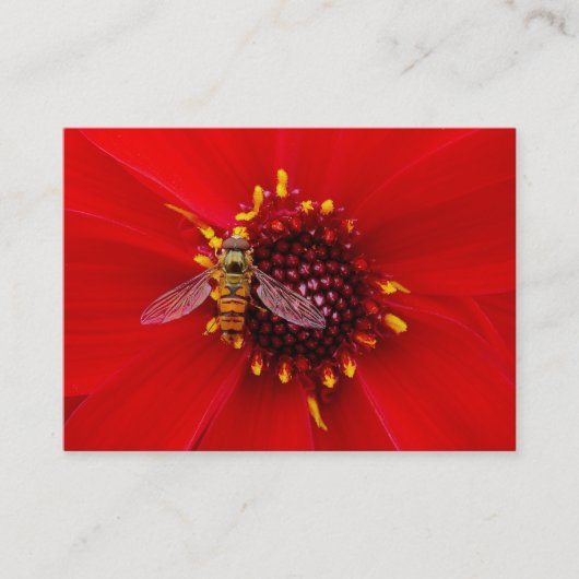ホバーフライをダリアで飛ぶ，ミニフォト 名刺 (正面)