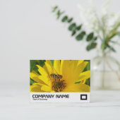 ホバーフライを黄色い菊に 名刺 (スタンド正面)