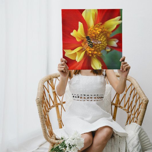 ホバーフライオンコレートダリアフォト キャンバスプリント