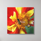 ホバーフライオンコレートダリアフォト キャンバスプリント (正面)