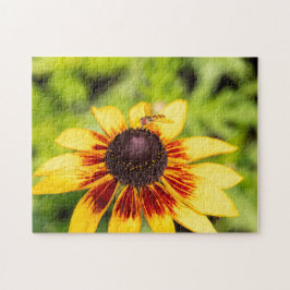 ホバーフライオンルドベキア ジグソーパズル