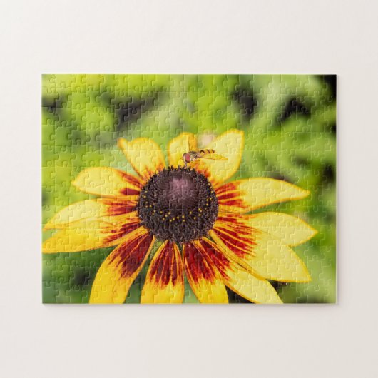 ホバーフライオンルドベキア ジグソーパズル (横)