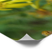 ホバーフライプリント ポスター (角)