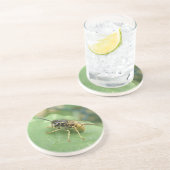 ホバーフライマクロコースター コースター (側面)