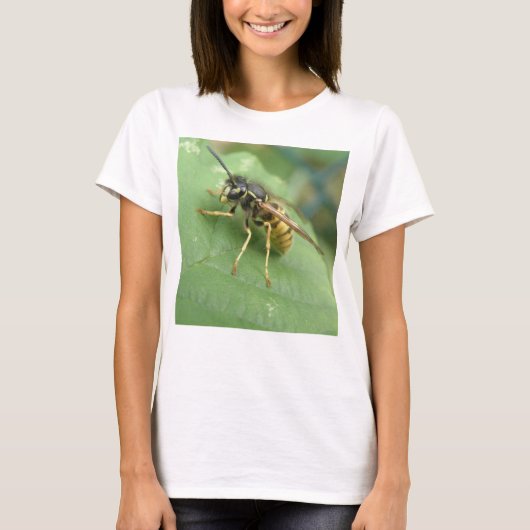 ホバーフライマクロレディースTシャツ Tシャツ (正面)