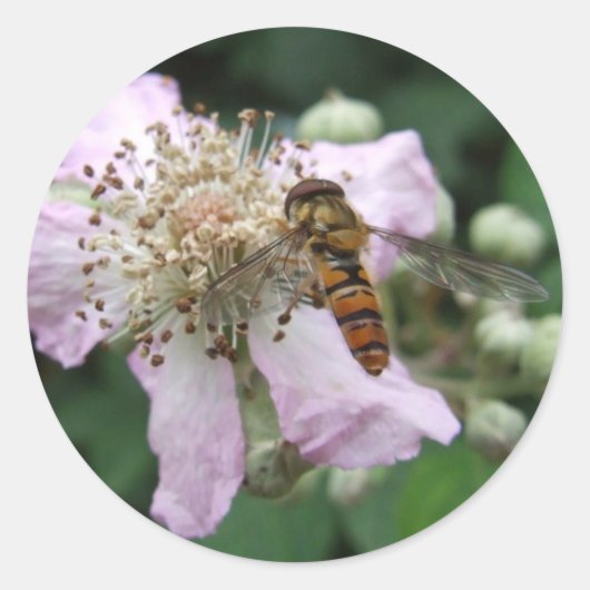 ホバーフライ・ステッカー ラウンドシール (正面)