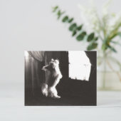 ホビット葉書 ポストカード (スタンド正面)