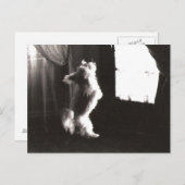 ホビット葉書 ポストカード (正面/裏面)