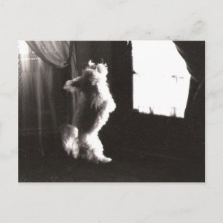 ホビット葉書 ポストカード