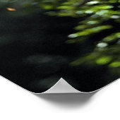 ホフマンの両口のナマケモノ ポスター (角)