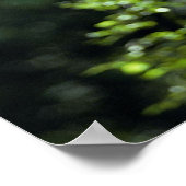 ホフマンの両口のナマケモノ ポスター (角)