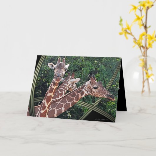 ホフマンズハワイ カード (黄色い花)