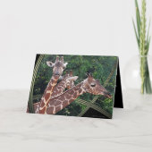 ホフマンズハワイ カード (正面)