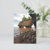 ホプウェル植木鉢ロックスニューブランズウィック葉書 ポストカード (スタンド正面)