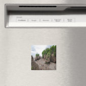 ホプウェル・ロックスローチド・カナダ磁石 マグネット (インサイチュ (食洗機))