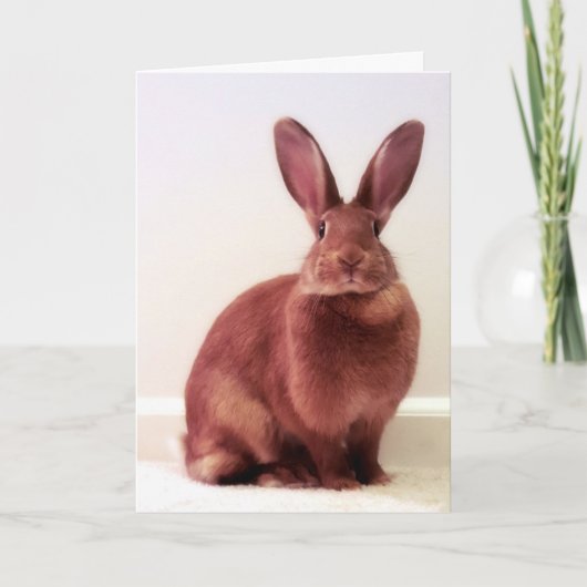 「ホプペニンって何だ?」 カード (正面)