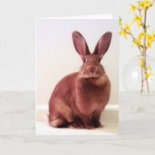 「ホプペニンって何だ?」 カード (黄色い花)