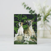 ホペットとパップ ポストカード (スタンド正面)