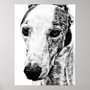 ホペット犬 ポスター